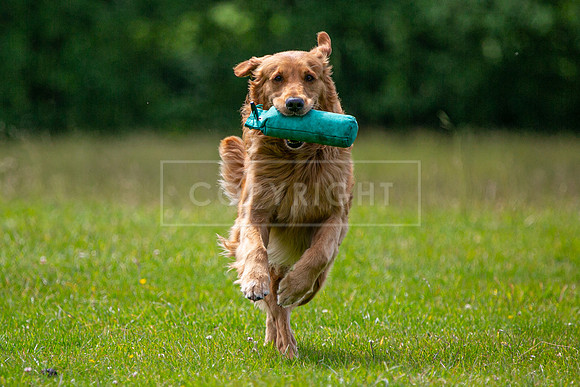 Int Retriever Day 1 -114