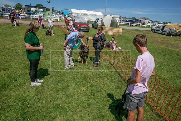 Scruffts heat @ Wadebridge 13th July 2025-18