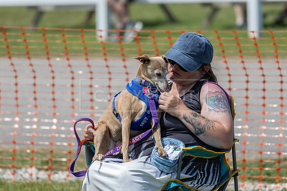 Scruffts heat @ Wadebridge 13th July 2025-119