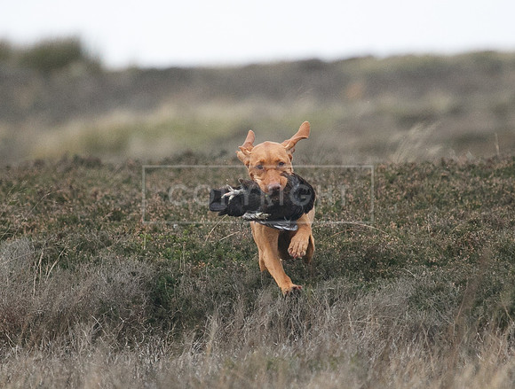 HPR Championships Nov 2021-160