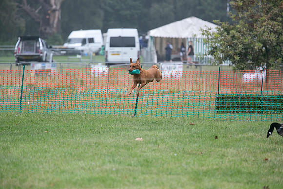 Jixenwell Scurry Challenge Final 2024-0148