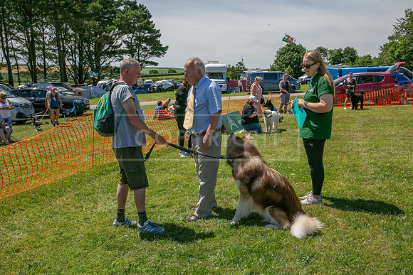 Scruffts heat @ Wadebridge 13th July 2025-21