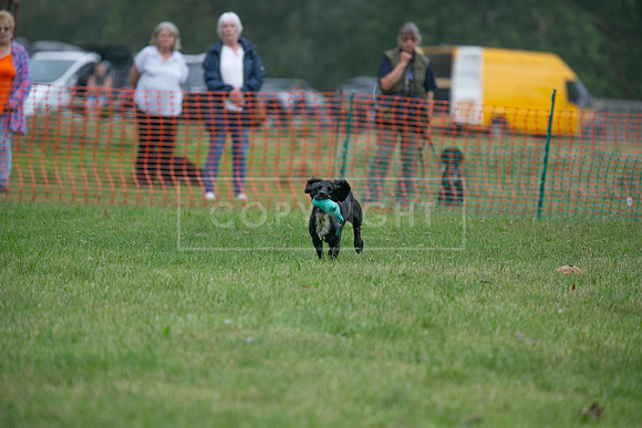 Jixenwell Scurry Challenge Final 2024-0252