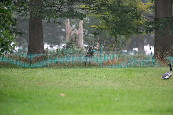 Jixenwell Scurry Challenge Final 2024-0084