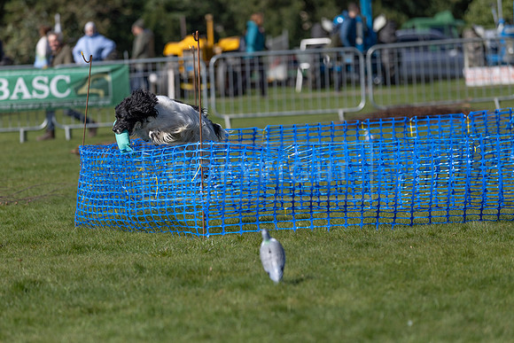 Thoresby Sun 30th Mar 25-079