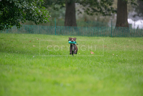 Jixenwell Scurry Challenge Final 2024-0227