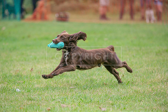 Jixenwell Scurry Challenge Final 2024-0214