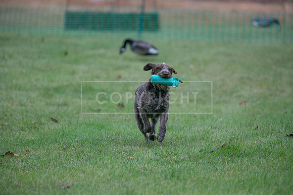 Jixenwell Scurry Challenge Final 2024-0074