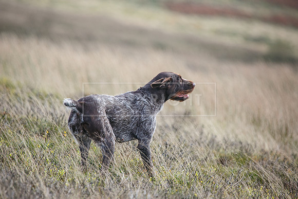 HPR Championships Nov 2021-102