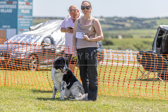 Scruffts heat @ Wadebridge 13th July 2025-56