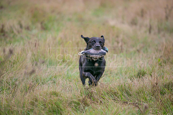 Jixenwell Scurry Challenge Final 2024-0516