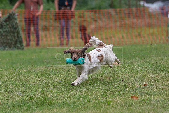 Jixenwell Scurry Challenge Final 2024-0236