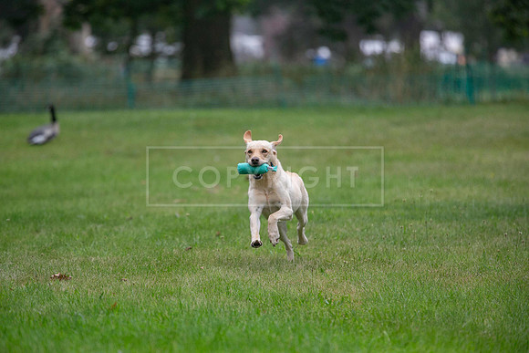 Jixenwell Scurry Challenge Final 2024-0179