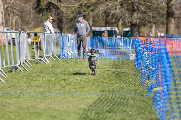 Thoresby Sun 30th Mar 25-264
