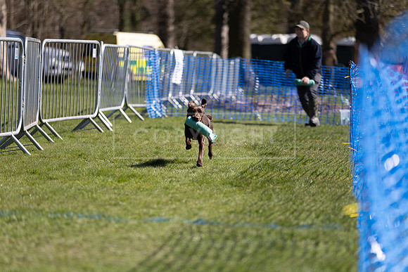 Thoresby Sun 30th Mar 25-131