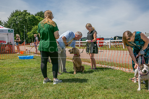 Scruffts heat @ Wadebridge 13th July 2025-66