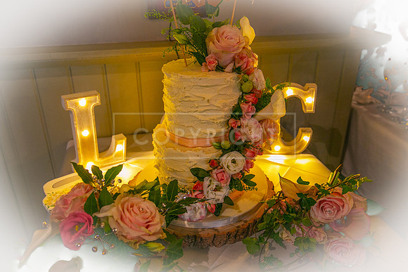 L & C Wedding-250