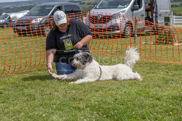 Scruffts heat @ Wadebridge 13th July 2025-144