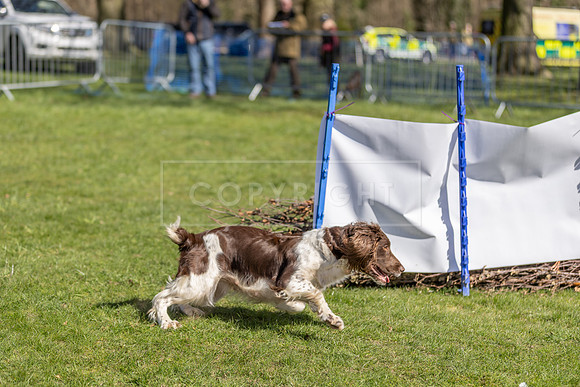 Thoresby Sun 30th Mar 25-194