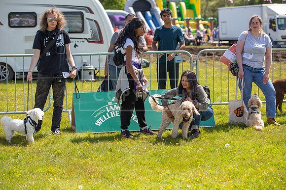Scruffts @ Hylands Park 5th May 2024-013