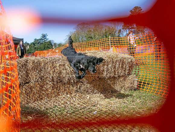 Thoresby Sun 30th Mar 25-071