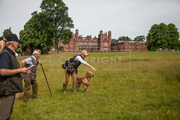 Int Retriever Day 1 -077