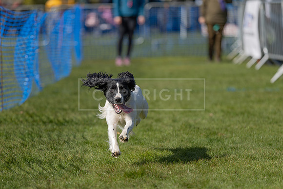 Thoresby Sun 30th Mar 25-066