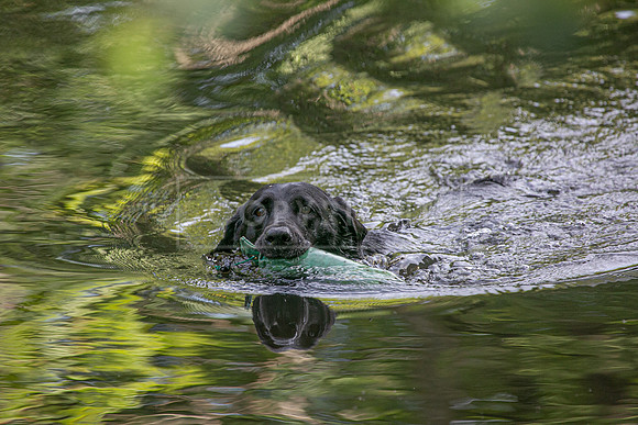 Int Retriever Day 1 -159