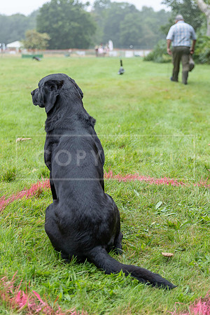 Jixenwell Scurry Challenge Final 2024-0055