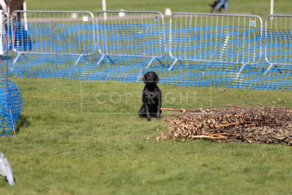 Thoresby Sun 30th Mar 25-024