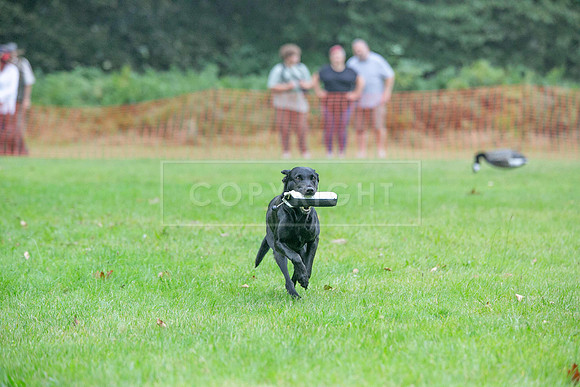 Jixenwell Scurry Challenge Final 2024-0160