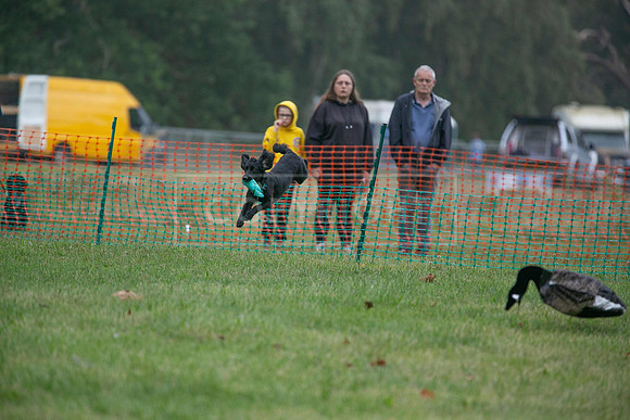 Jixenwell Scurry Challenge Final 2024-0251