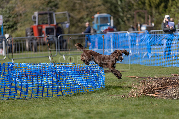 Thoresby Sun 30th Mar 25-174