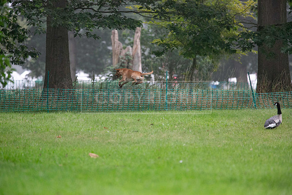 Jixenwell Scurry Challenge Final 2024-0105
