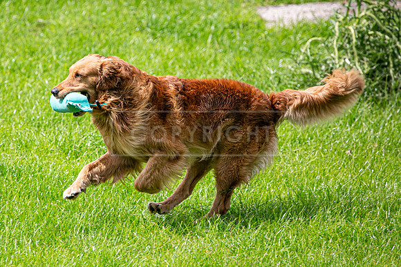Int Retriever Day 1 -187