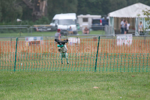 Jixenwell Scurry Challenge Final 2024-0330