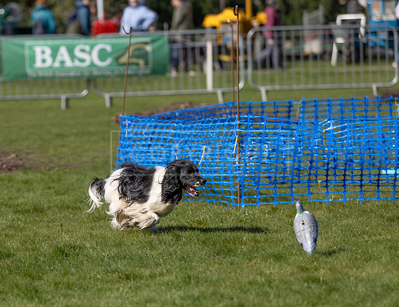 Thoresby Sun 30th Mar 25-077