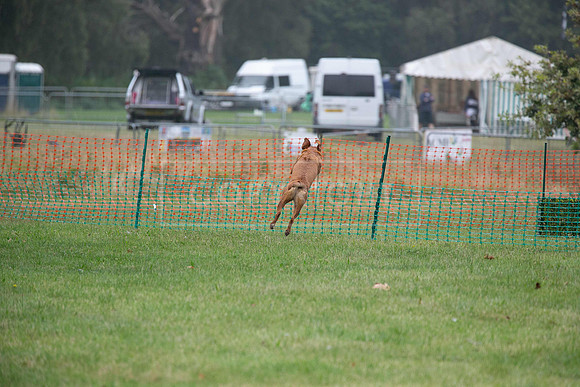 Jixenwell Scurry Challenge Final 2024-0146