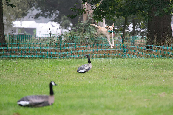 Jixenwell Scurry Challenge Final 2024-0177