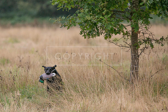 Jixenwell Scurry Challenge Final 2024-0481