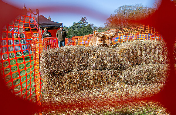 Thoresby Sun 30th Mar 25-117
