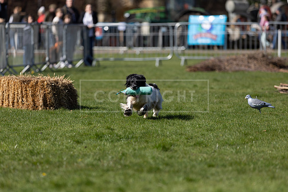Thoresby Sun 30th Mar 25-090