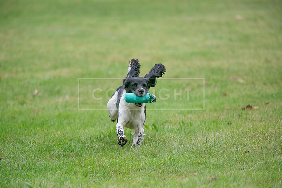Jixenwell Scurry Challenge Final 2024-0332