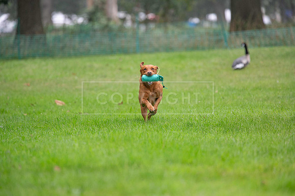 Jixenwell Scurry Challenge Final 2024-0155