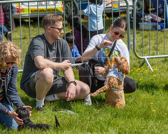 Scruffts @ Hylands Park 5th May 2024-015