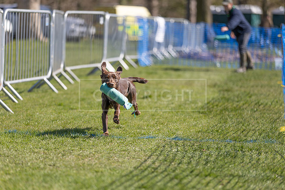 Thoresby Sun 30th Mar 25-132