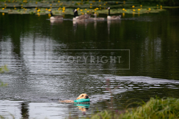 Int Retriever Day 1 -072