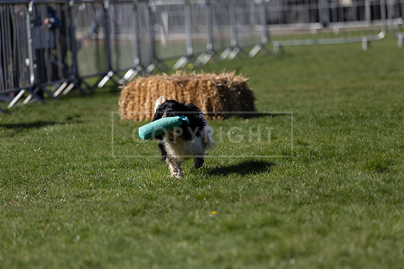 Thoresby Sun 30th Mar 25-081