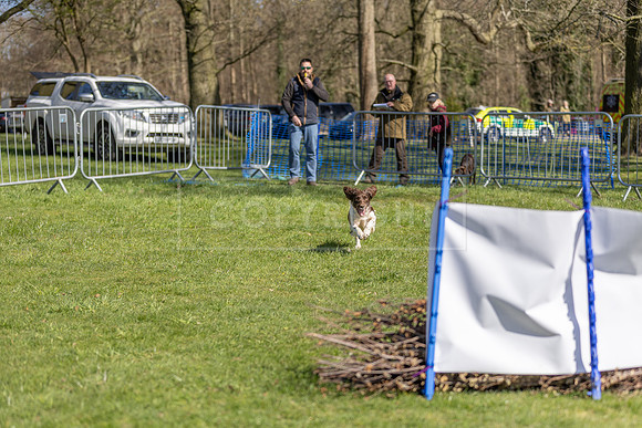Thoresby Sun 30th Mar 25-193