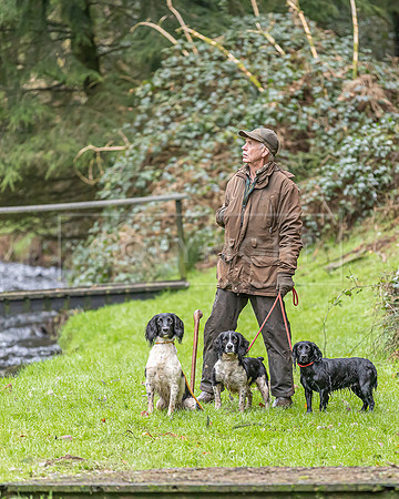 Gundogs-51